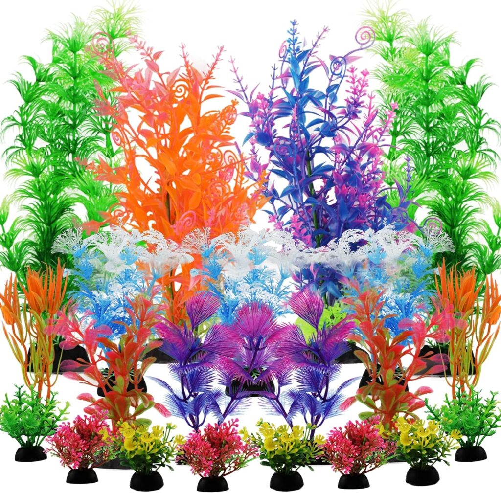 aquarium plants